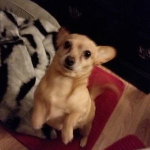 Meet your Posher, Marion